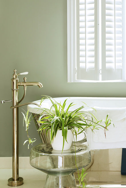 Little Greene Boringdon Green | No. 295
