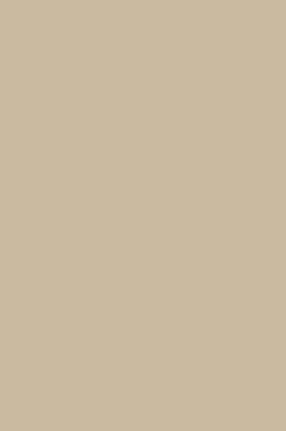 Canvas V | No. 305 Paint & Paper Library