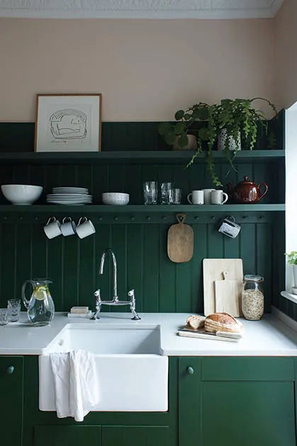 Farrow and Ball Duck Green | No. W55