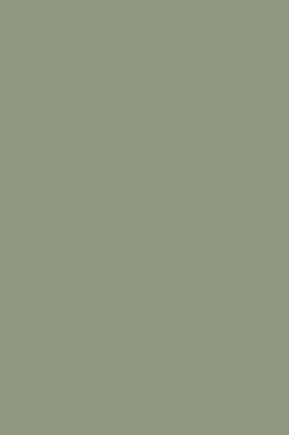 Greenback | No. 579 Paint & Paper Library