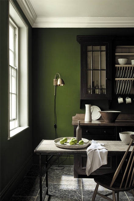 Little Greene Jewel Beetle | No. 303