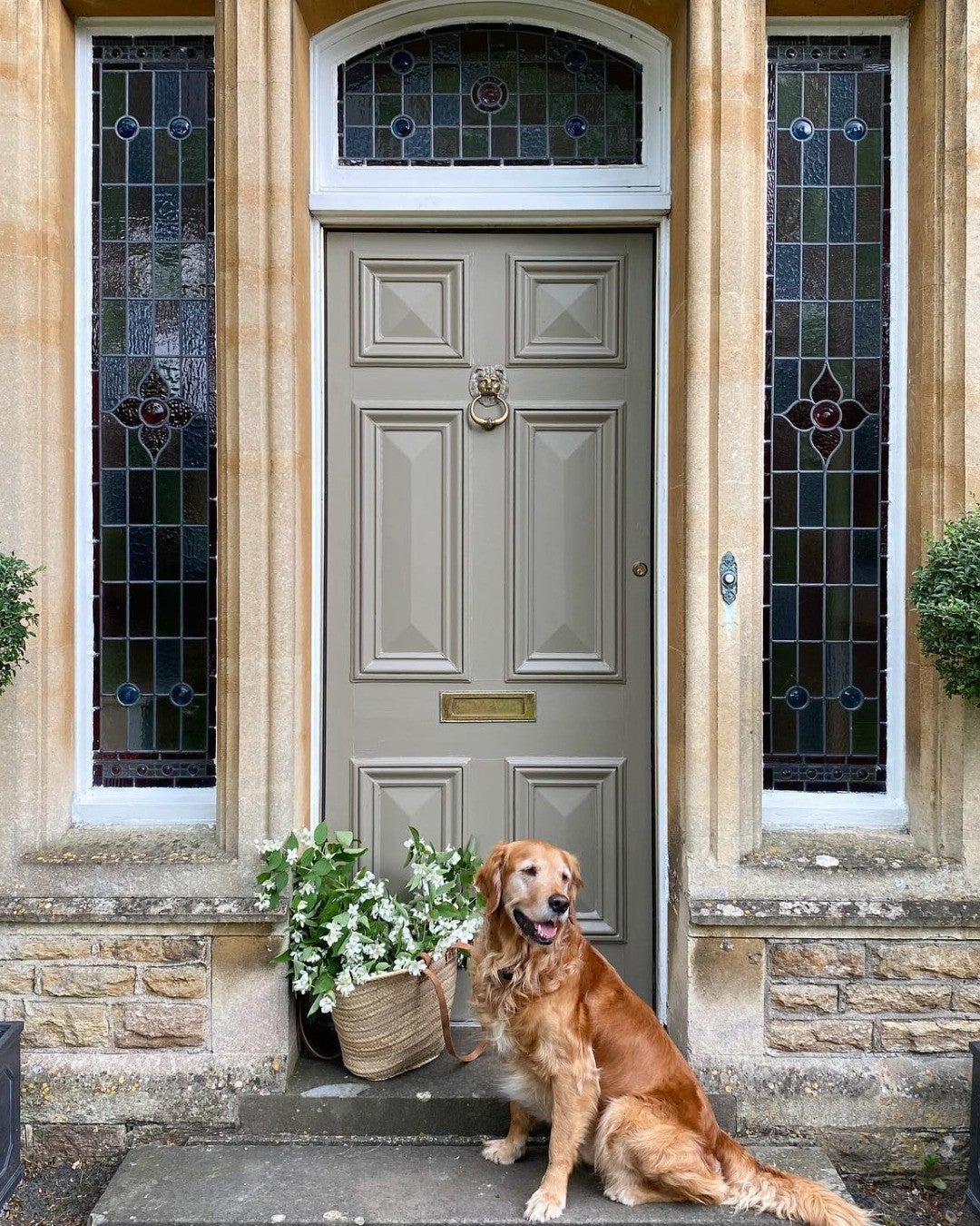 Farrow and Ball Mouse's Back | No. 40
