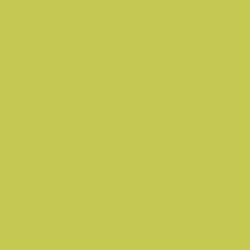 Little Greene Pale Lime | No. 70