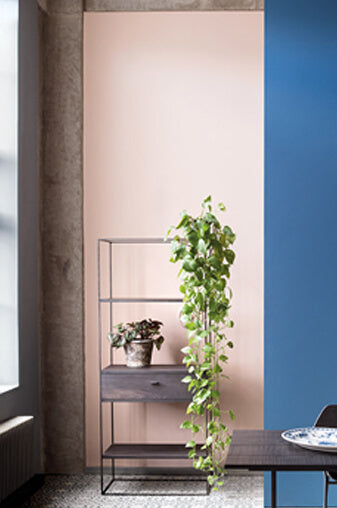 Temple | No. 238 Paint & Paper Library