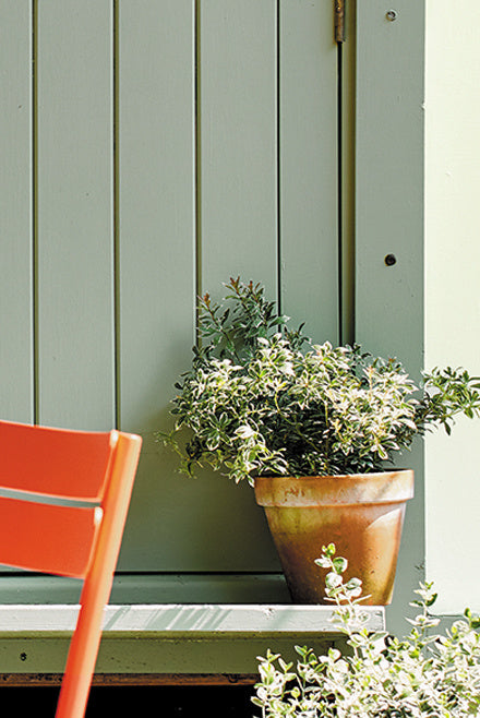 Little Greene Windmill Lane | No. 296