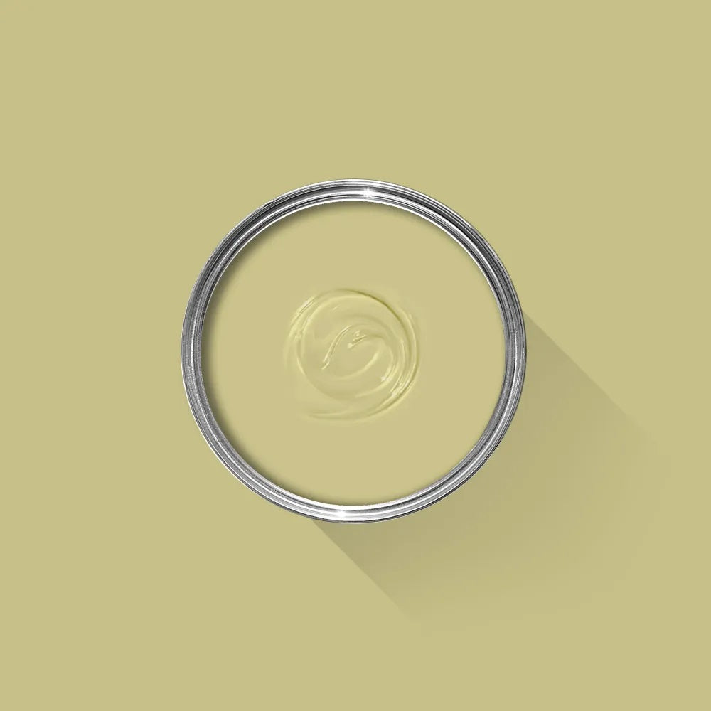 Farrow and Ball Archief Churlish Green | No.251