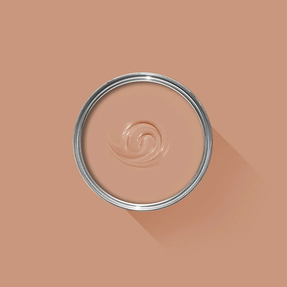 Farrow and Ball Archief Ointment Pink | No.21