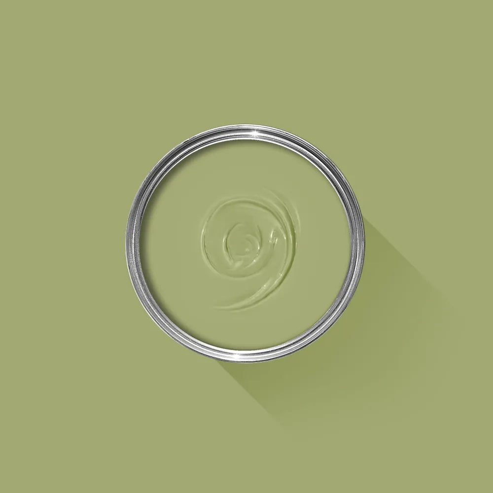 Farrow and Ball Archief Saxon Green  | No.80