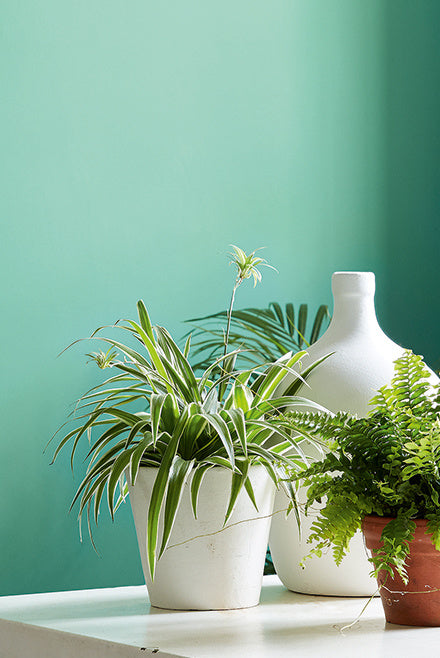 Green Verditer | No. 92 Little Greene