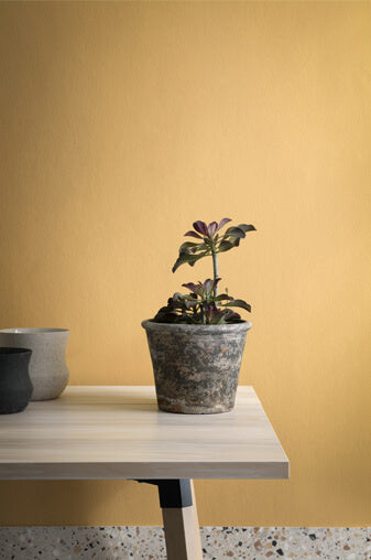 Parasol | No. 508 Paint & Paper Library