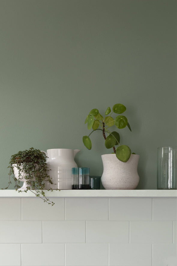 Salvia | No. 596  Paint & Paper Library