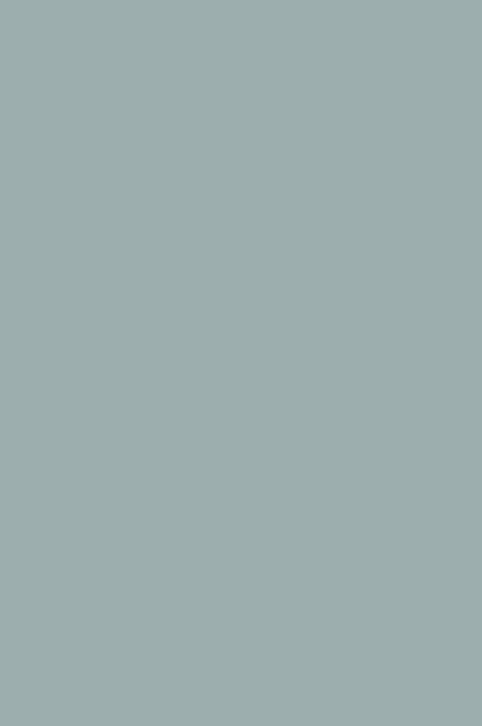 Spruce | No. 690  Paint & Paper Library