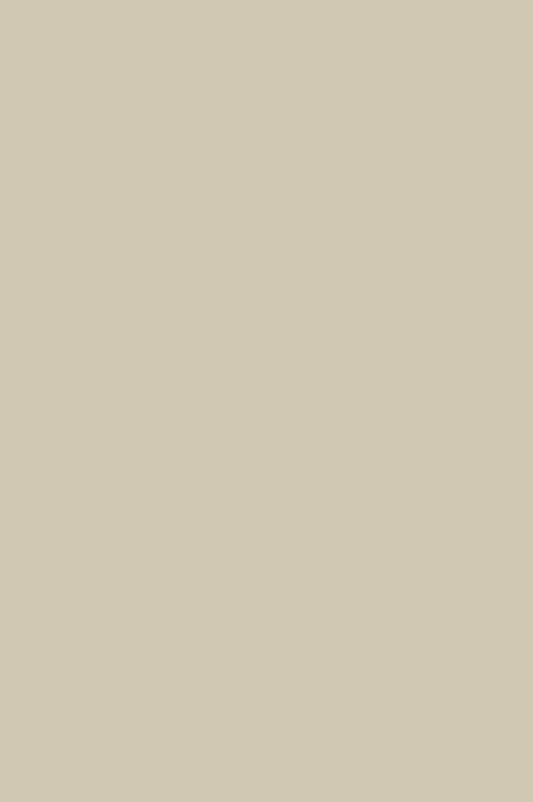 Stone IV | No. 204  Paint & Paper Library