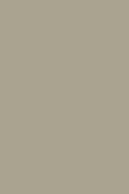 Tarlatan | No. 216 Paint & Paper Library