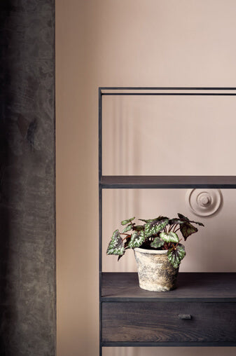 Temple | No. 238 Paint & Paper Library