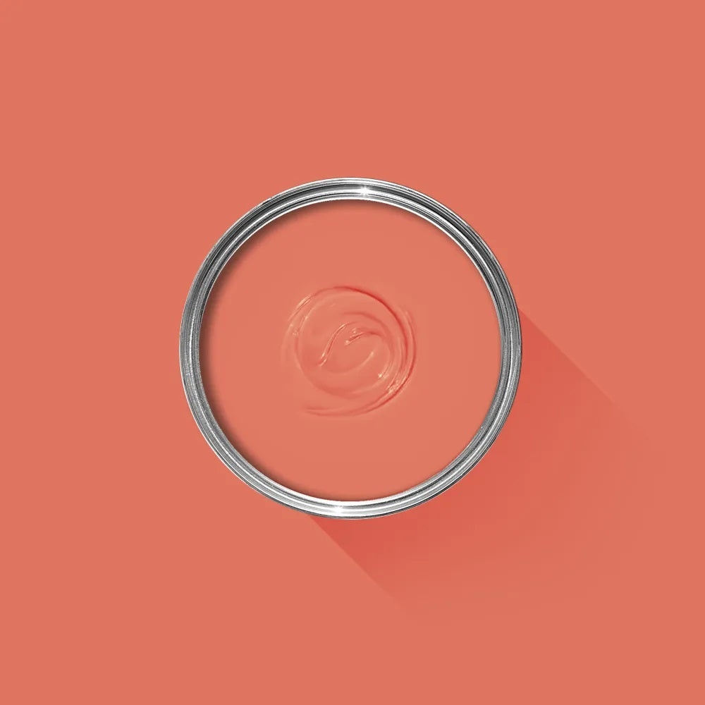 Farrow and Ball Archief Bisque | No.9811