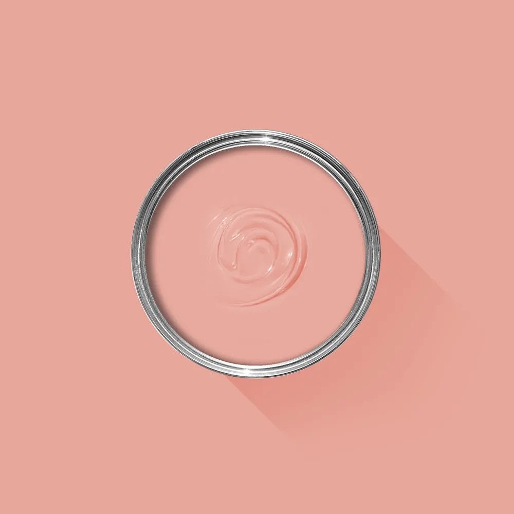 Farrow and Ball Archief Blooth Pink | No.9806